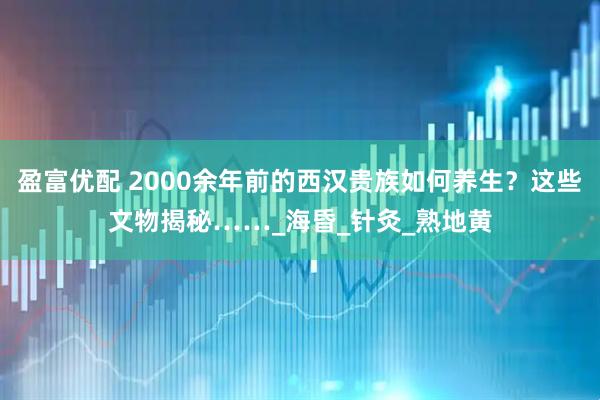 盈富优配 2000余年前的西汉贵族如何养生？这些文物揭秘……_海昏_针灸_熟地黄