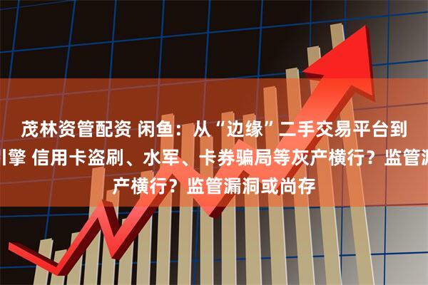 茂林资管配资 闲鱼：从“边缘”二手交易平台到阿里增长引擎 信用卡盗刷、水军、卡券骗局等灰产横行？监管漏洞或尚存